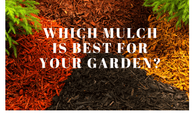 Whats The Best Type Of Mulch For Your Garden?